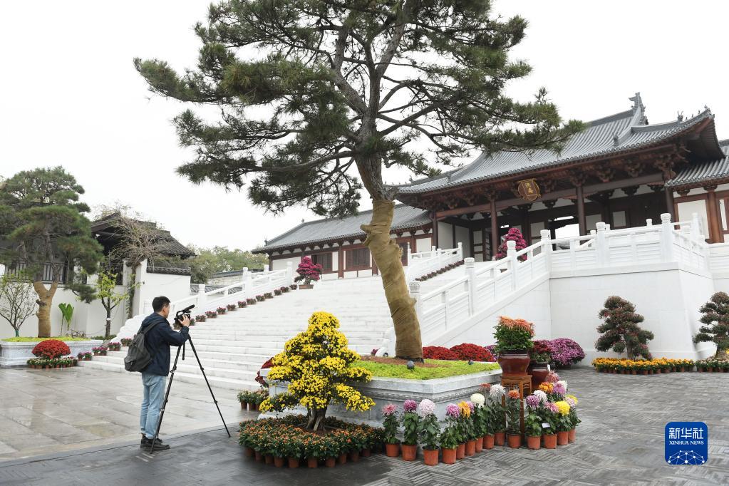 [组图]新华全媒+丨南宋德寿宫遗址博物馆将在杭州揭幕 第 4 张