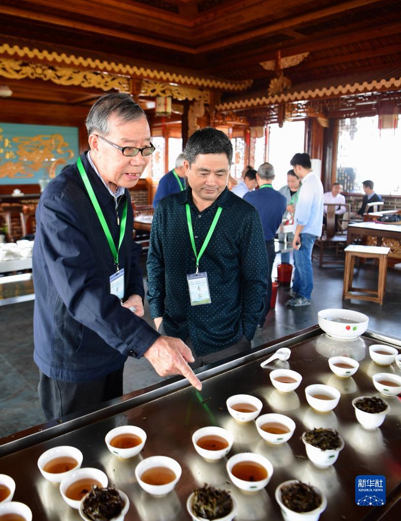 [组图]走进武夷山 来看武夷岩茶“岩骨花香”的奥秘 第 8 张