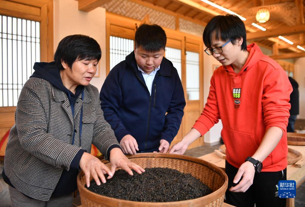 [组图]走进武夷山 来看武夷岩茶“岩骨花香”的奥秘 第 2 张