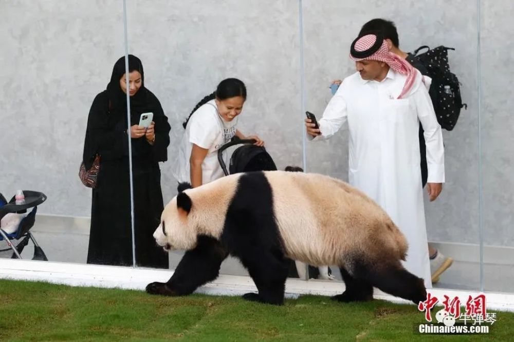 [组图]世界杯开幕第一天，中国在卡塔尔干了一件大事 第 4 张