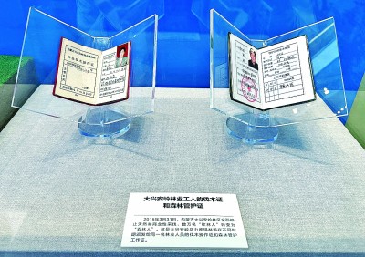 [组图]【奋进新时代·展品背后的故事】见“证”大兴安岭绿色变迁