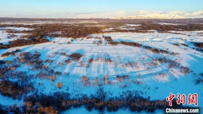 [组图]今日大雪丨仲冬之月，顺意平安 第 6 张