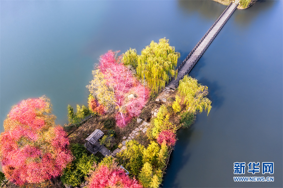 [组图]【“飞阅”中国】斑斓秋色 多彩湿地 第 2 张