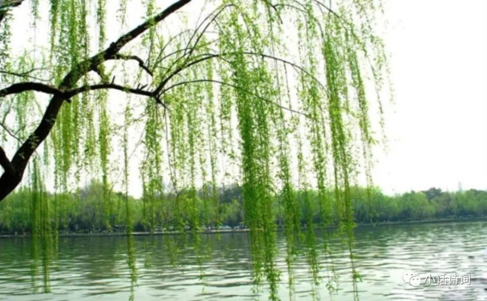 [图文]最美人间四月天：有惠风和畅，有春风化雨，那么古诗中的春风又是怎样的呢？ 第 8 张