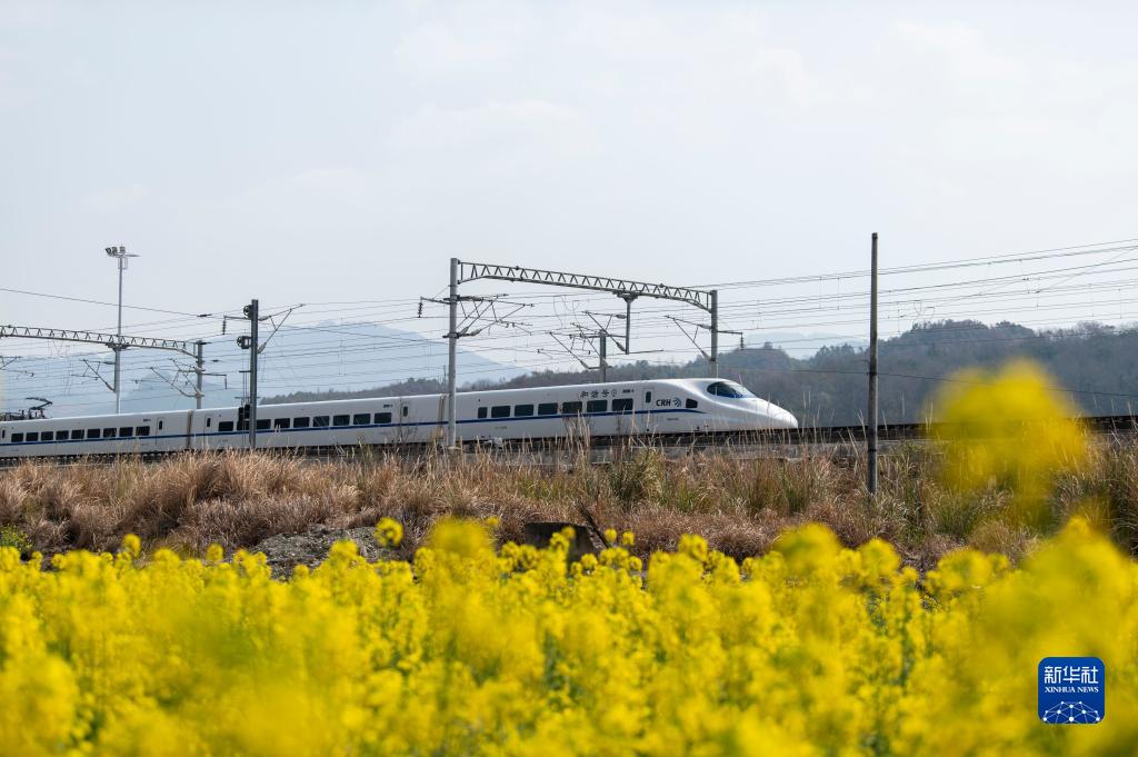 花香伴列车 第 4 张