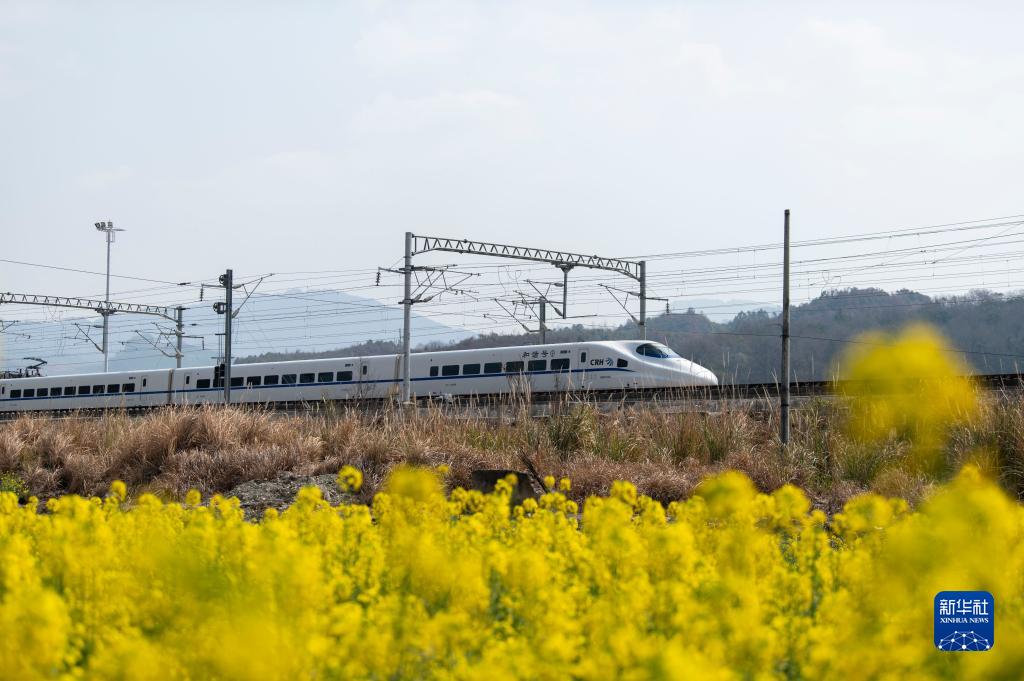 花香伴列车 第 4 张