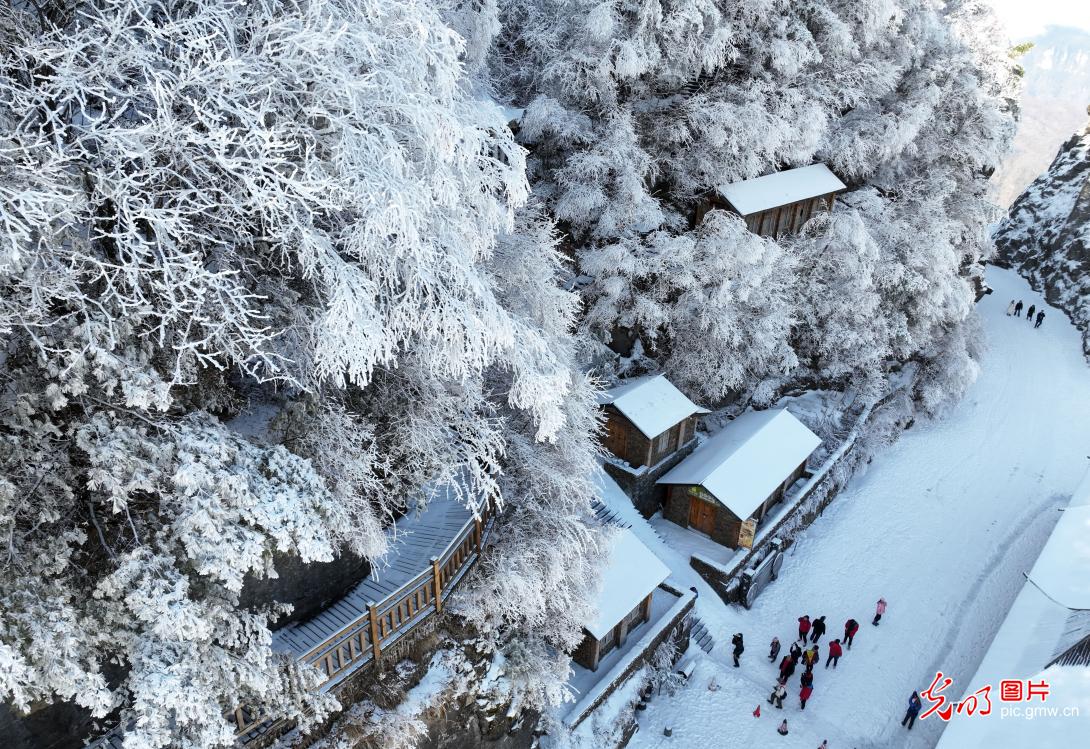 初春雾凇美 冰雪引游客 第 1 张