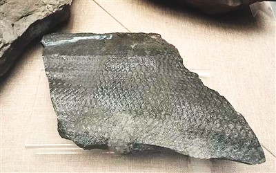 触摸地球脉动 感受生命变迁 第 3 张