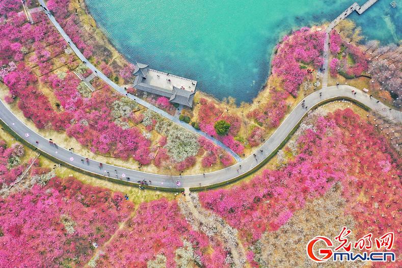 【节气里的大美中国】惊蛰丨又如春雷动 第 1 张