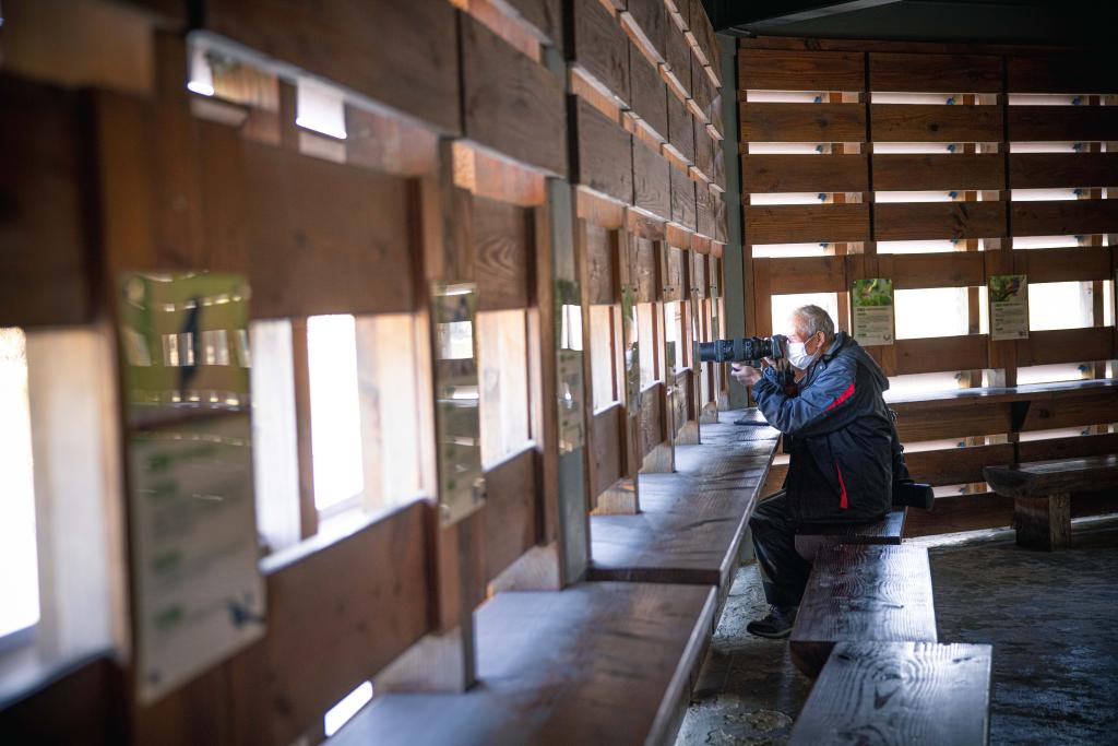 一方和谐共享的绿色空间——走进我国首个国家湿地公园西溪湿地 第 2 张