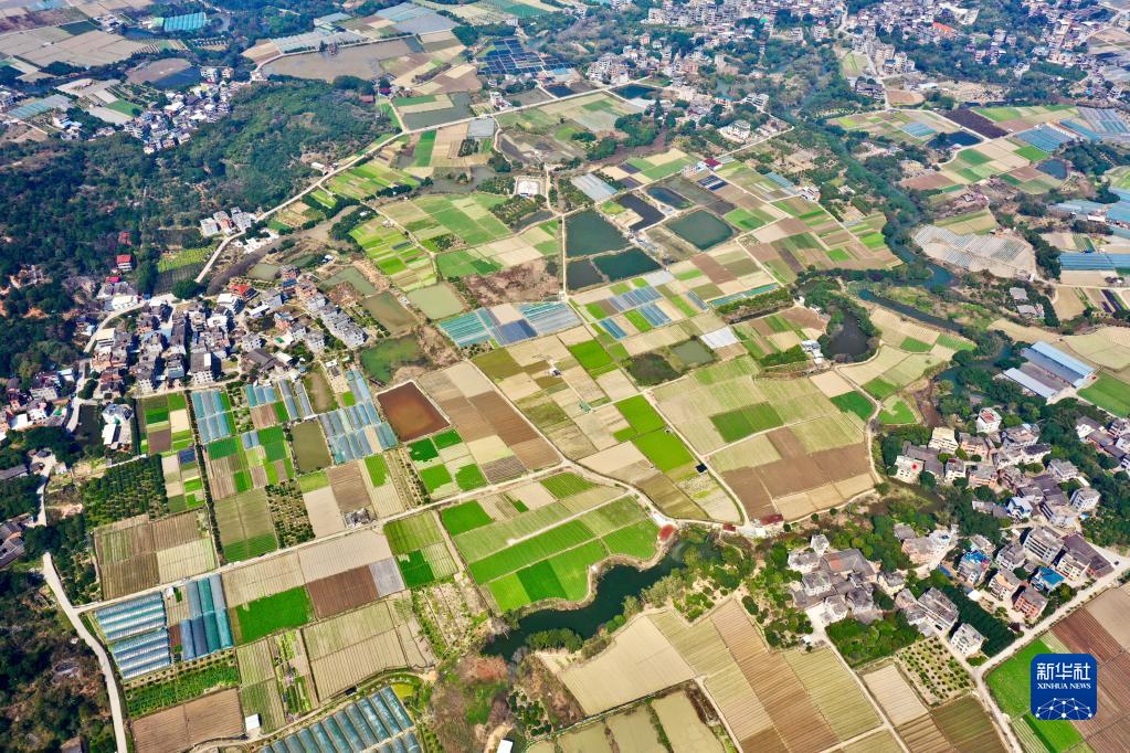 春耕大地上的画卷！五彩斑斓的田地犹如拼图 第 1 张