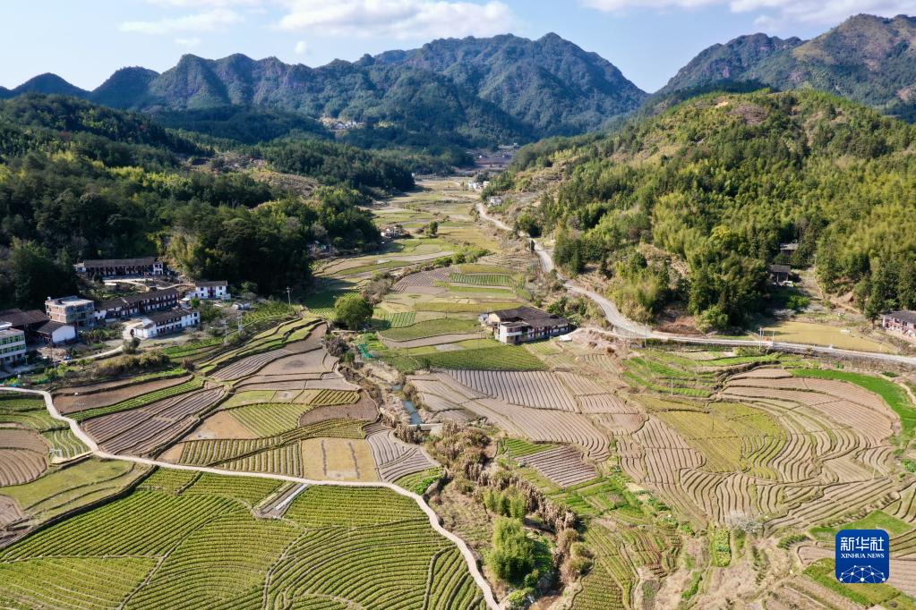 春耕大地上的画卷！五彩斑斓的田地犹如拼图 第 12 张