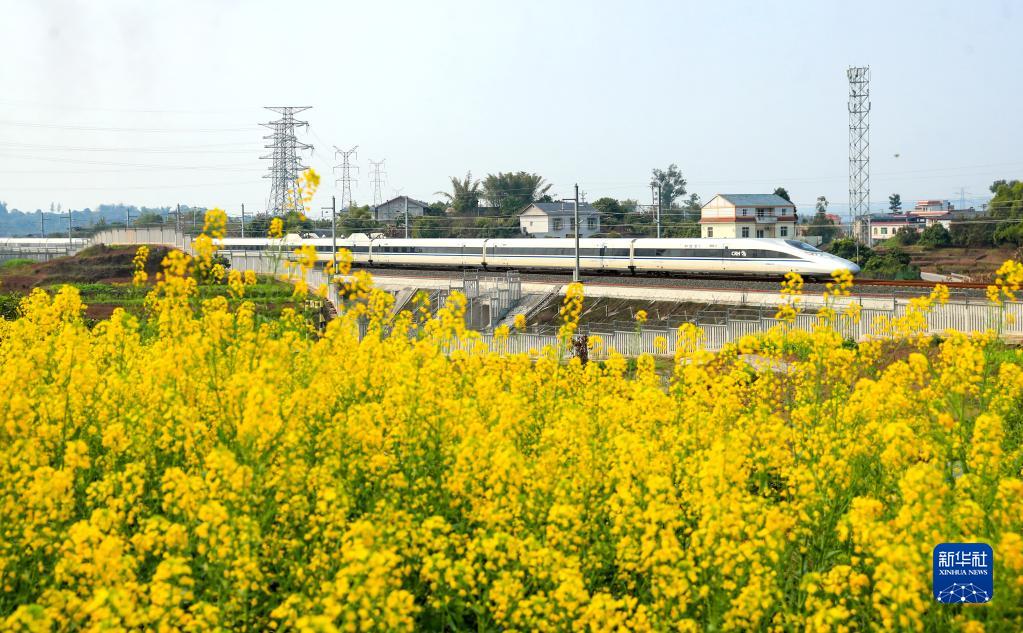 花香伴列车 第 2 张