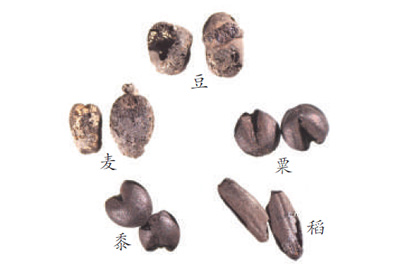 科技考古助力中华文明探源 第 2 张