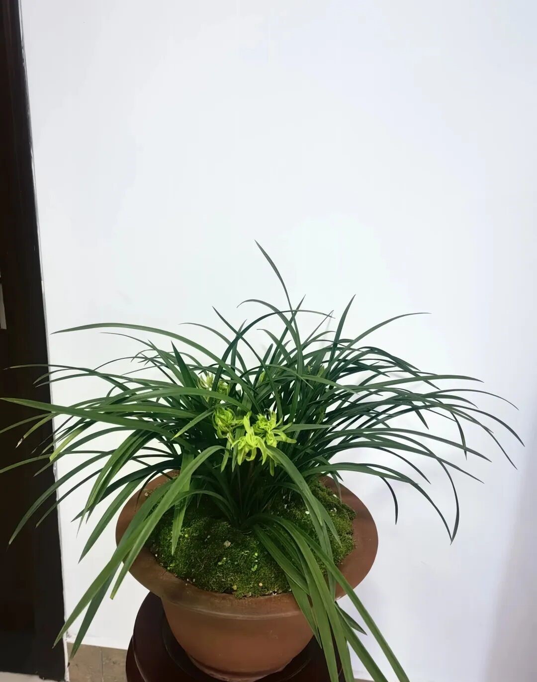 760c7863fa16b8302b2cbd452949d398.jpg 760c7863fa16b8302b2cbd452949d398.jpg