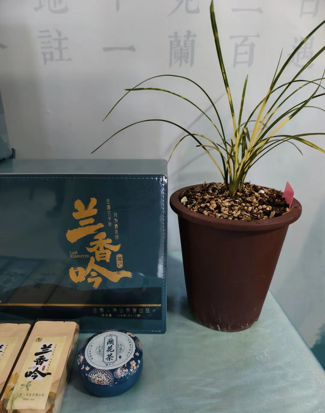 fef2e2f20773ee1ae2993e6bc3637652.jpg fef2e2f20773ee1ae2993e6bc3637652.jpg